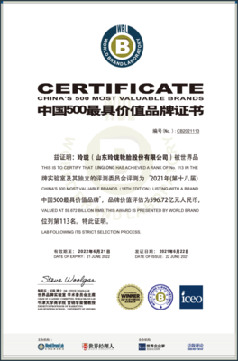 我市兩品牌榮登2021年“中國500最具價值品牌”榜單，節能環保技術開發成亮點